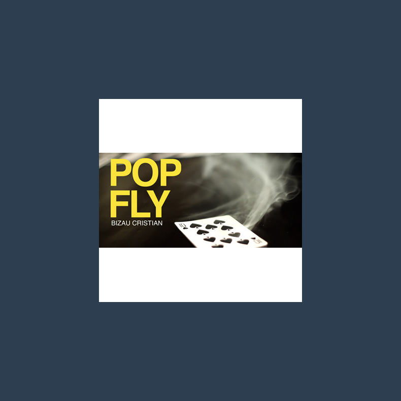 Pop Fly by Bizau Cristian video DOWNLOAD