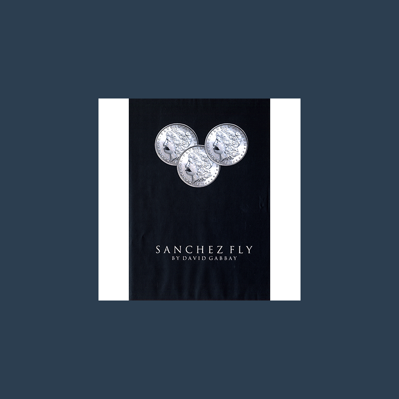 Sanchez Fly by David Gabbay - video DOWNLOAD