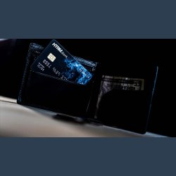 Fraud by Peter Turner