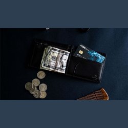 Fraud by Peter Turner