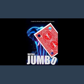 Matrix Revolution Jumbo by Mickael Chatelain
