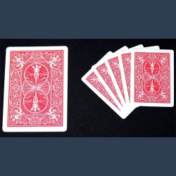 Mini Bicycle Cards