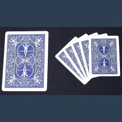 Mini Bicycle Cards