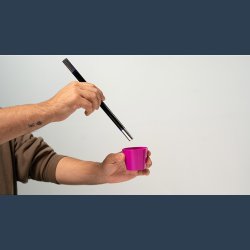 Miracle Wand to Flower by Murphy's Magic