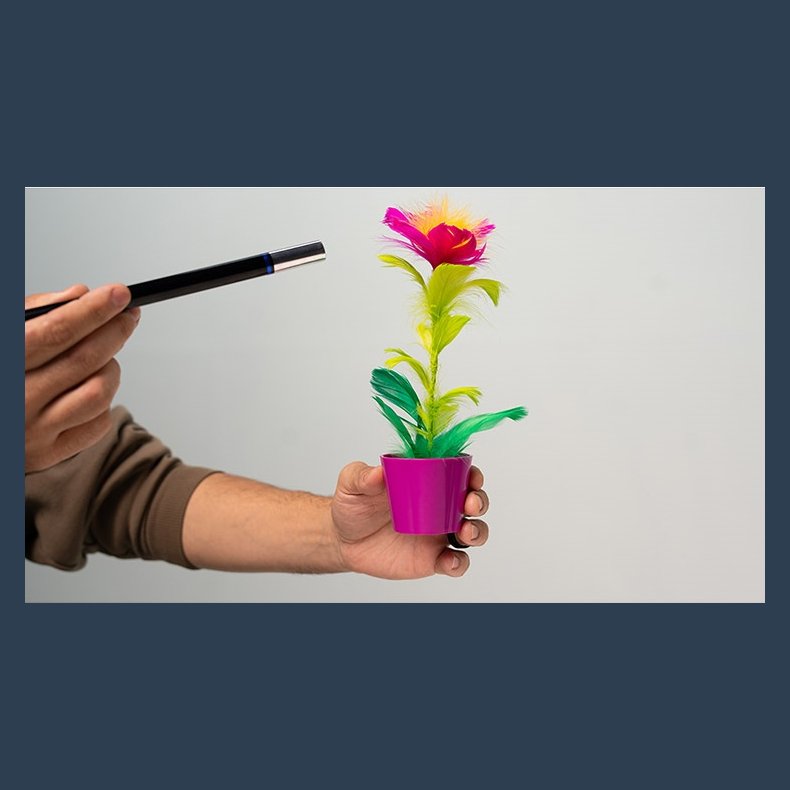 Miracle Wand to Flower by Murphy's Magic