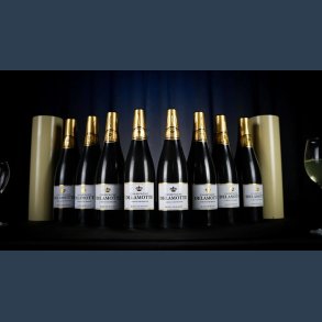 Miracle Wine Bottles Champagne Model Complete Set with Case by TCC Magic