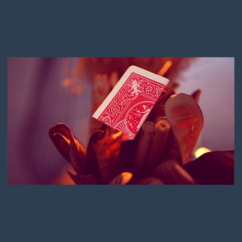 My Power Deck by Jordan Victoria