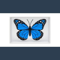 Omni Butterfly by Hyde Ren