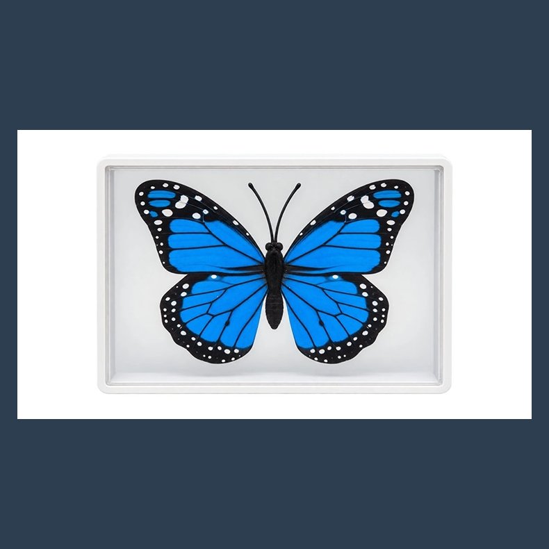 Omni Butterfly by Hyde Ren