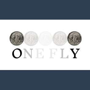 One Fly by Pieter Hofstra � video Download