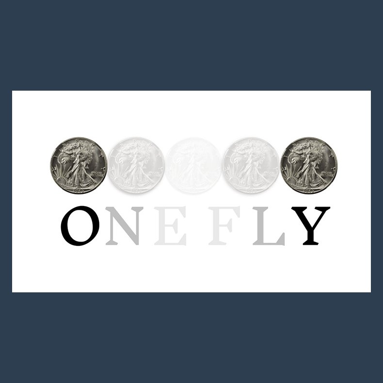 One Fly by Pieter Hofstra � video Download