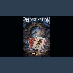 Predestination by Gary Jones