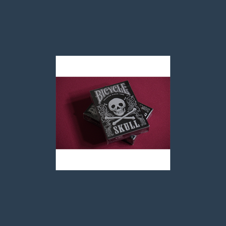 Bicycle Skull Metallic (Silver) USPCC by Gambler's Warehouse