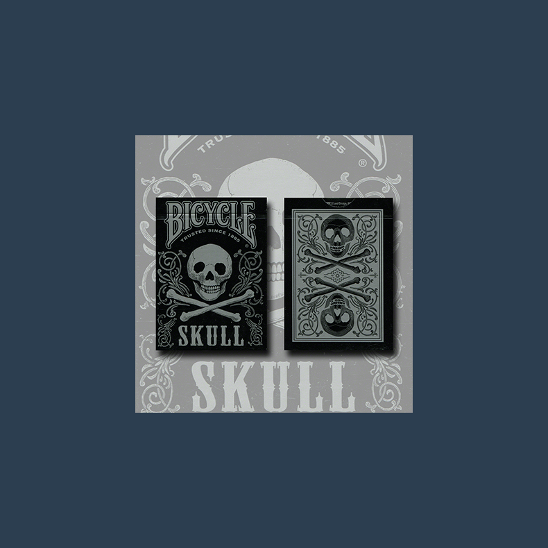 Bicycle Skull Metallic (Silver) USPCC by Gambler's Warehouse