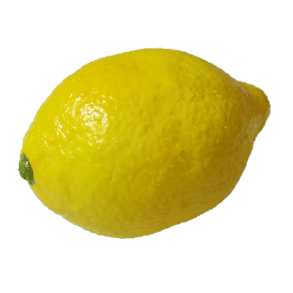 Super Real Latex Lemon