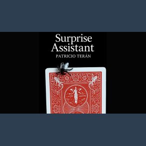 Surprise Assistant by Patricio Teran video DOWNLOAD