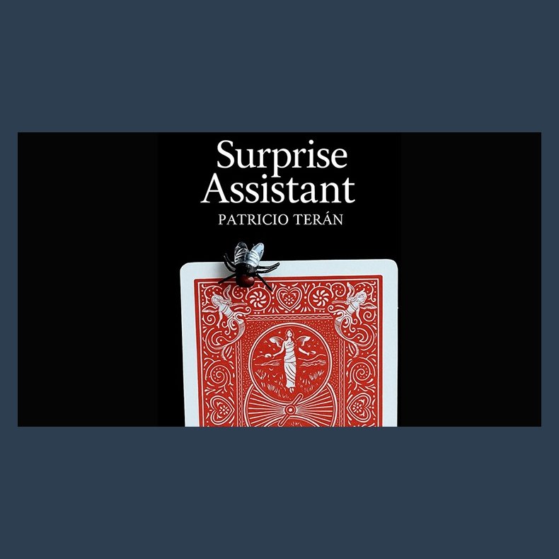 Surprise Assistant by Patricio Teran video DOWNLOAD