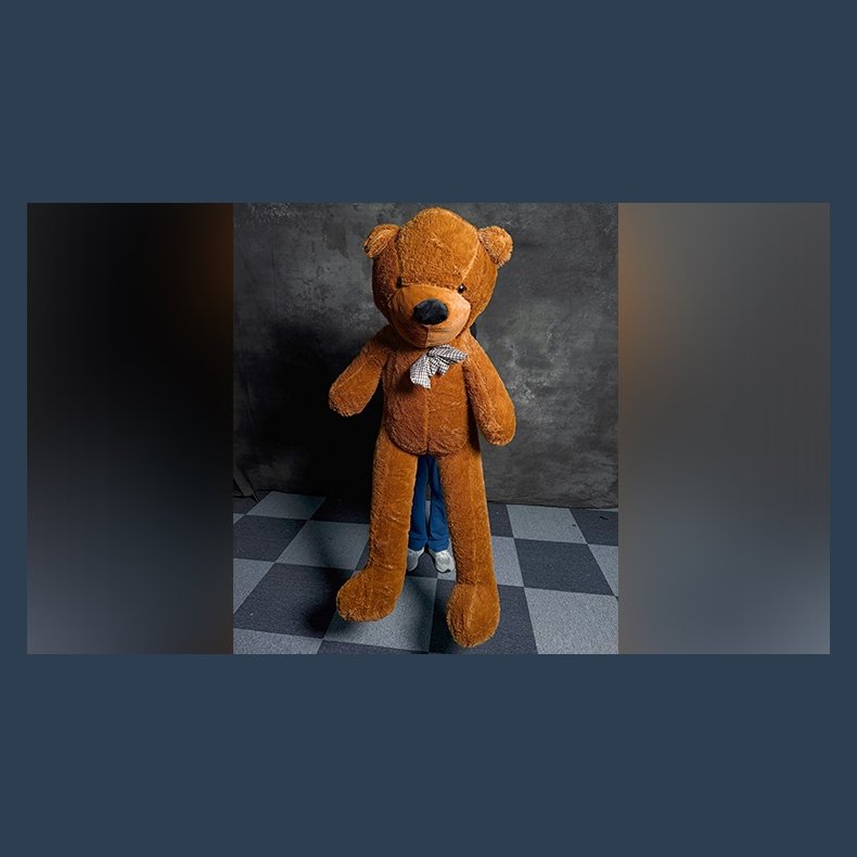 TEDDY BEAR APPEARANCE - Large