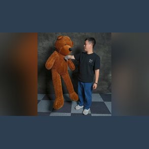 TEDDY BEAR APPEARANCE - Medium