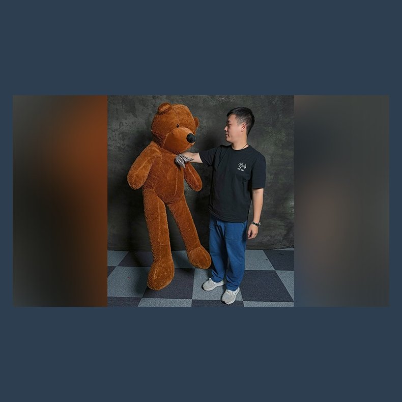TEDDY BEAR APPEARANCE - Medium