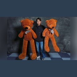 TEDDY BEAR APPEARANCE - Medium