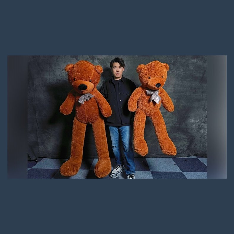 TEDDY BEAR APPEARANCE - Medium