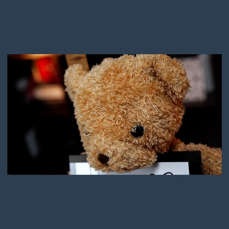 Teddy Unframed by Bond Lee &amp; JC Magic