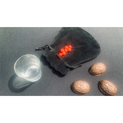 Copper Shells (Antique Copper)