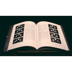 Coins and Other Fables by Luis Piedrahita