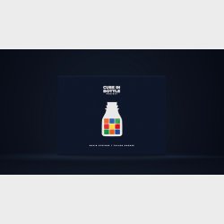 Cube in Bottle Project by Taylor Hughes and David Stryker